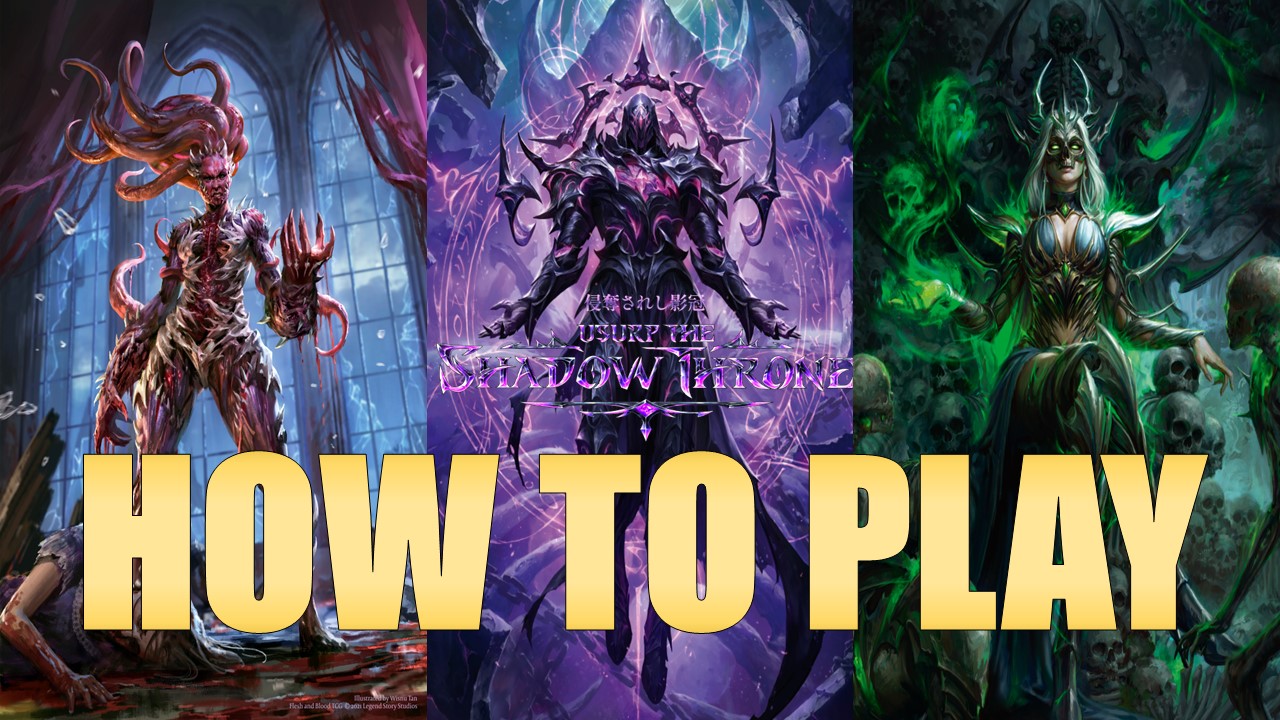 「侵奪されし影冠（Usurp the Shadow Throne）」を予習しよう！各ヒーローの基本戦略からリミテッドまで